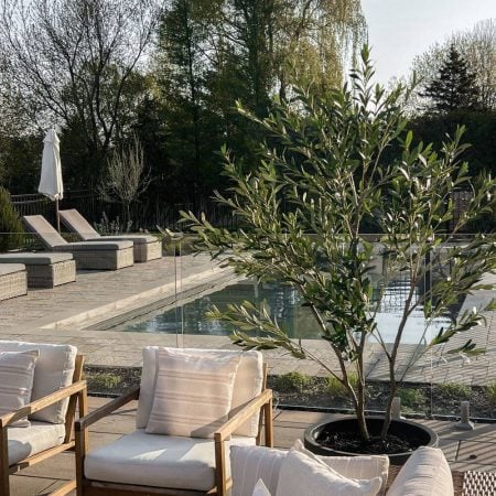 Plante artificielle extérieure, olivier, 79'' - Décors Véronneau