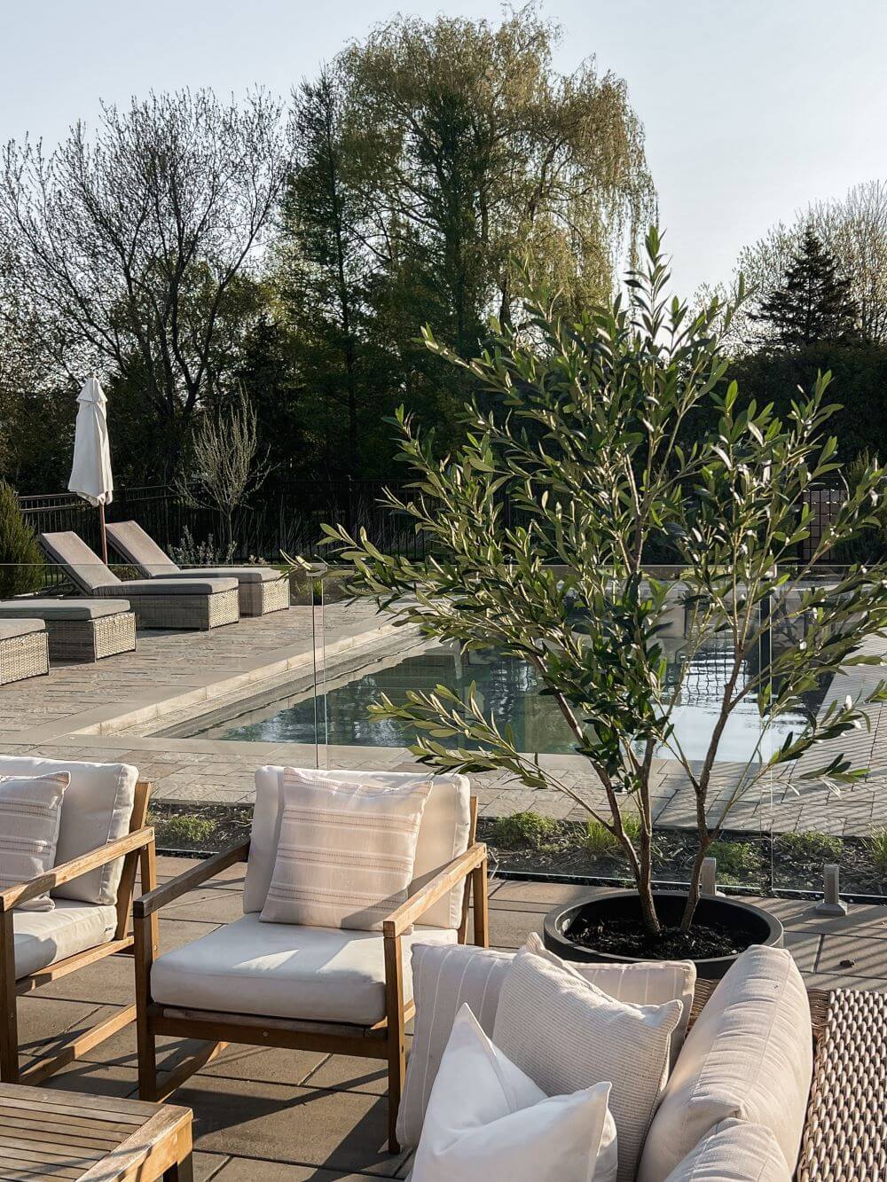 Artificial olive tree for outdoors - Décors Véronneau