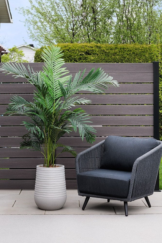 Palmier extérieur en pot - Décors Véronneau