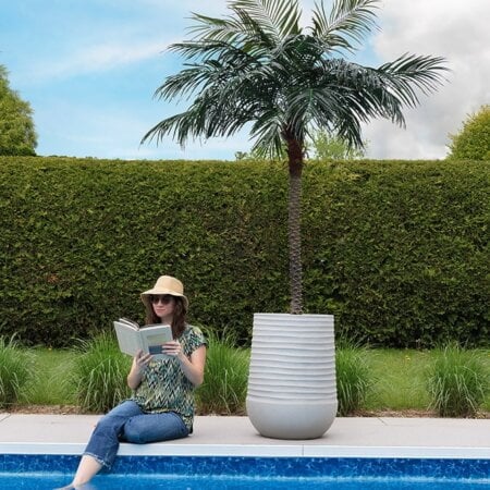 Palmier extérieur artificiel, phoenix, 72'' - Décors Véronneau