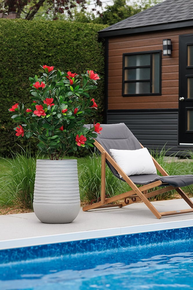 Plante extérieure à fleurs rouges rhododendron - Décors Véronneau