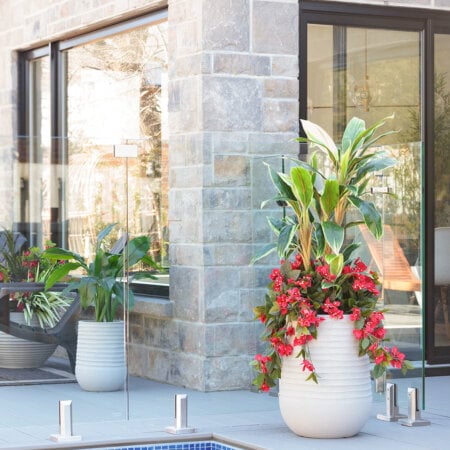 Jardinière de bougainvillier et cordyline en pot beige fini terrazzo gris, 52'' - Décors Véronneau