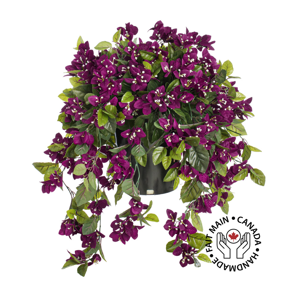 Bougainvillier mauve en pot de culture noir, 28 x 20" - Décors Véronneau