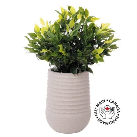 Topiaire de ficus artificiel extérieur en pot beige fini terrazzo gris, 28 x 20''