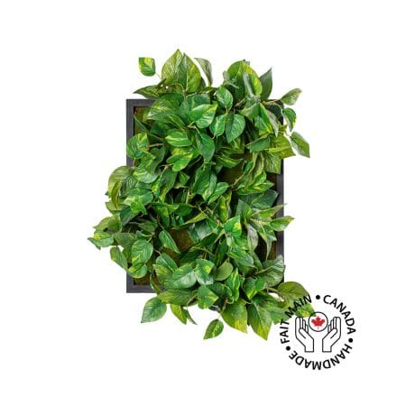 Pothos artificial indoor plant wall, 20 x 16