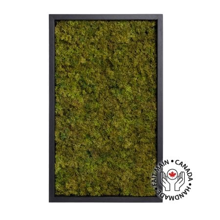 Mur végétal artificiel de mousse verte, 24 x 15