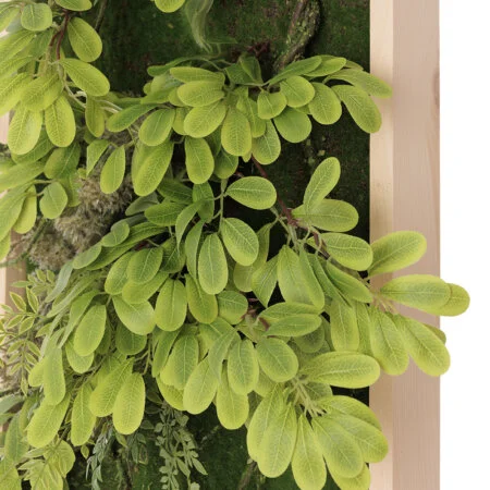 Artificial plant wall, acacia foliage, 30 x 15'' - Décors Véronneau