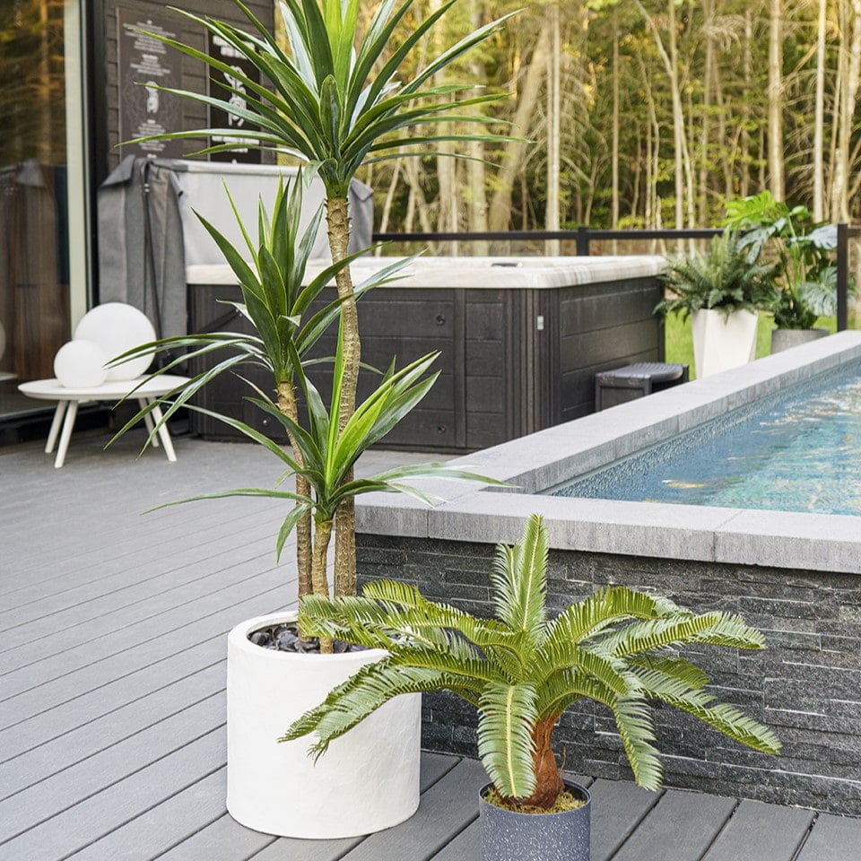 Piscine airbnb avec plantes - Décors Véronneau