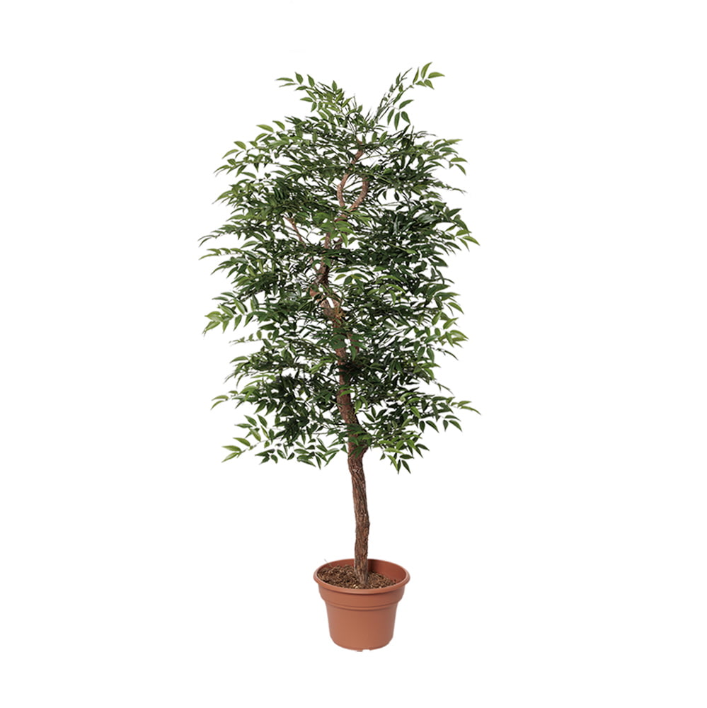 Arbre ruscus simple artificiel fait main – Image 4 - Décors Véronneau