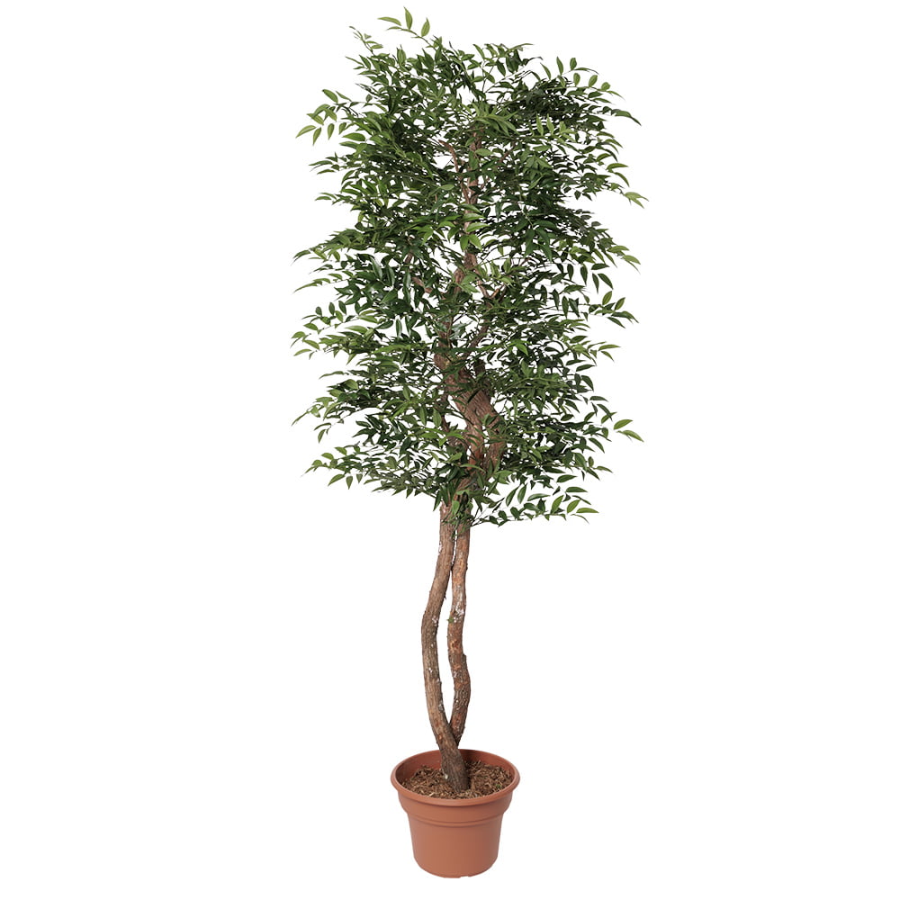 Arbre ruscus simple artificiel fait main – Image 6 - Décors Véronneau