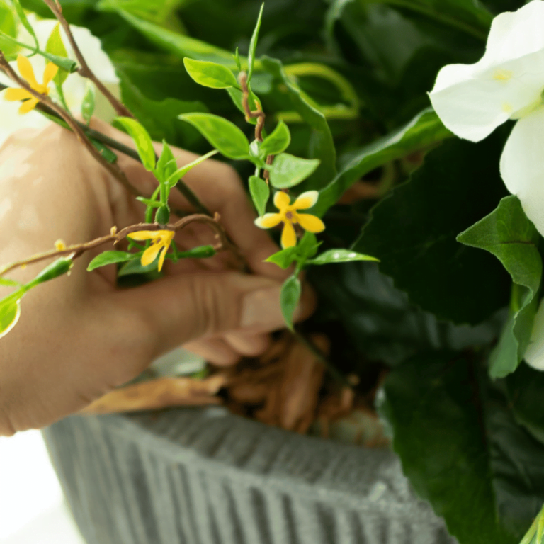 Fleurs jaunes dans une jardinière extérieure - Décors Véronneau