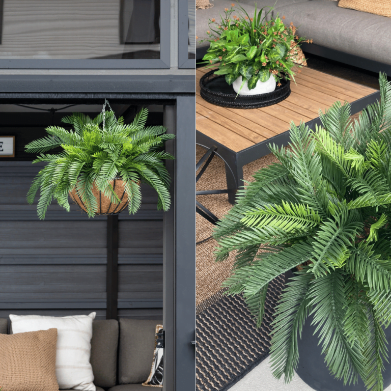 Jardinière de cycas - Décors Véronneau
