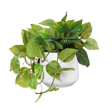 Pothos artificiel en pot blanc