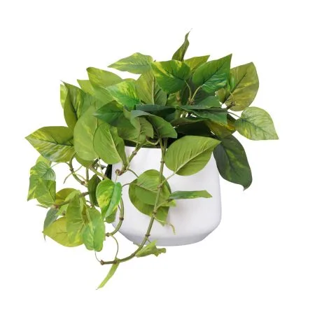 Artificial pothos in a white planter