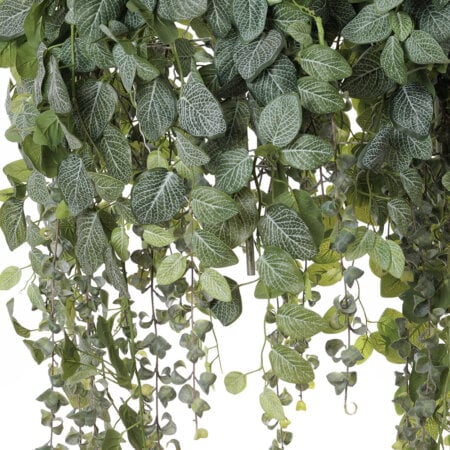Artificial eucalyptus and fittonia ceiling planter - Décors Véronneau