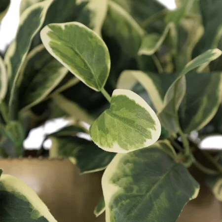 Artificial euonymus wall plant - Décors Véronneau