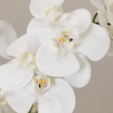 Artificial white orchid in a cement pot - Décors Véronneau