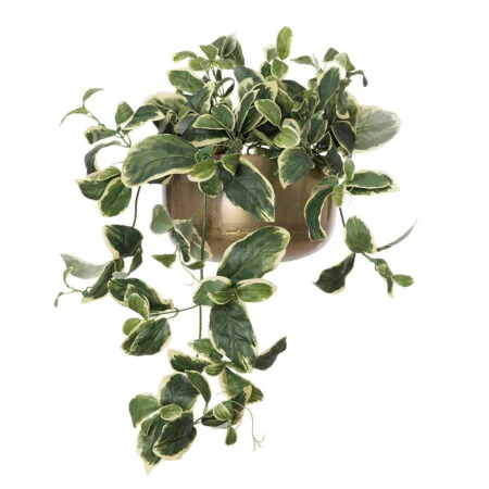 Artificial euonymus wall plant