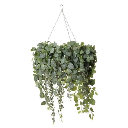 Artificial eucalyptus and fittonia ceiling planter