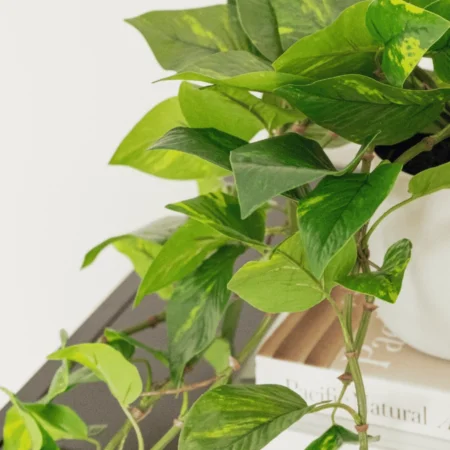 Artificial pothos in a white planter - Décors Véronneau