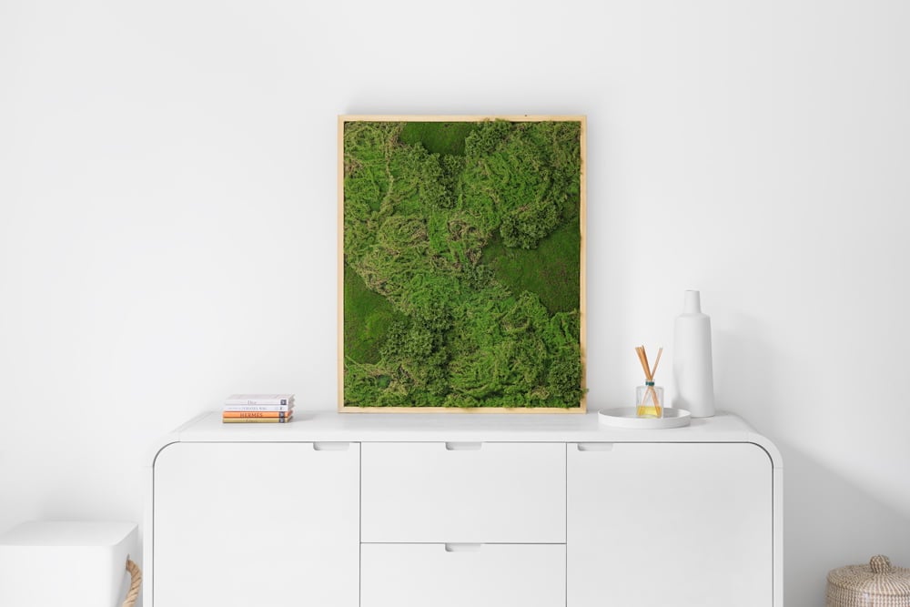 Mur végétal de mousse dans un décor blanc épuré - Décors Véronneau