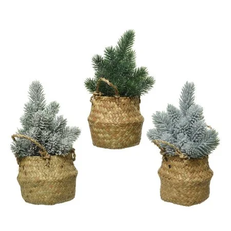 Petit sapin décoratif dans un panier, 9,5''