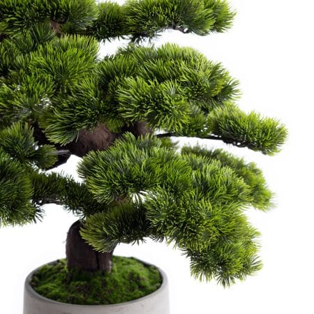 Grand bonsaï de pin artificiel, 22 x 16'' - Décors Véronneau