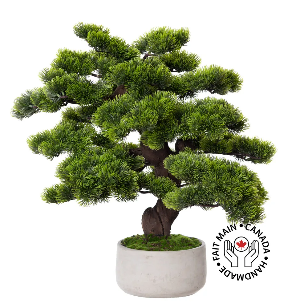 Artificial pine bonsai tree, 22 x 16'' - Décors Véronneau