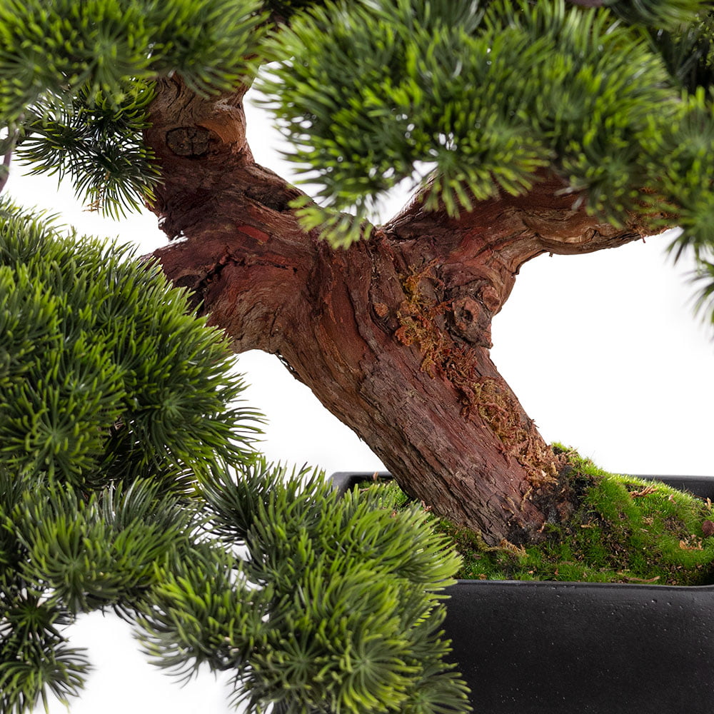 Artificial pine bonsai tree, 22 x 16'' Décors Véronneau