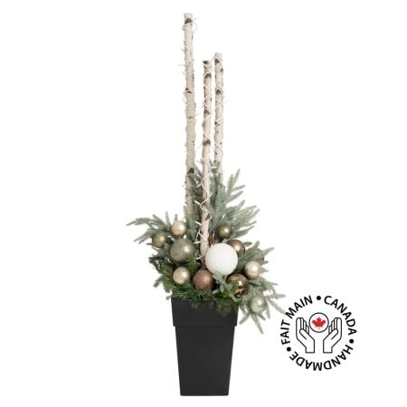 Arrangement de Noël extérieur, bouleaux et ornements chics, 71 x 18''