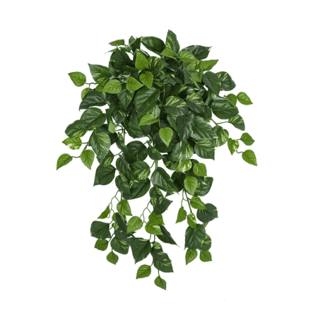 Fire-retardant green and cream trailing pothos, 36''