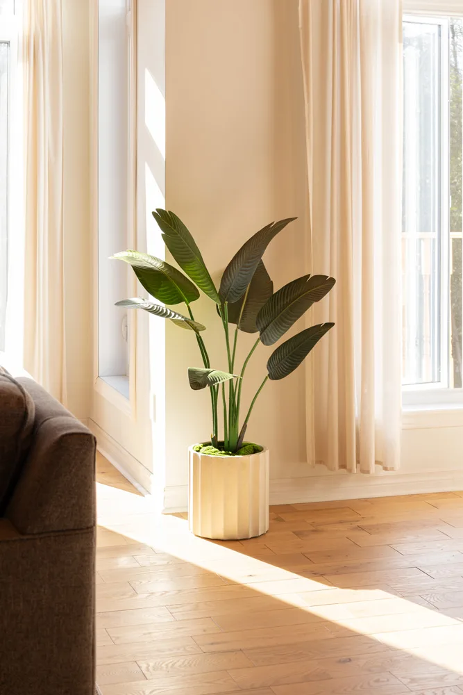 Oiseau du paradis - Décors Véronneau