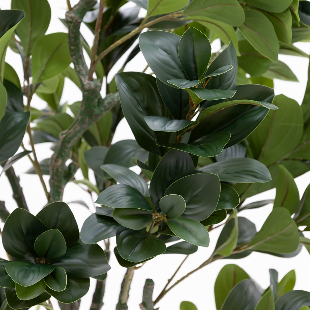 Feuillage artificiel de ficus - Décors Véronneau