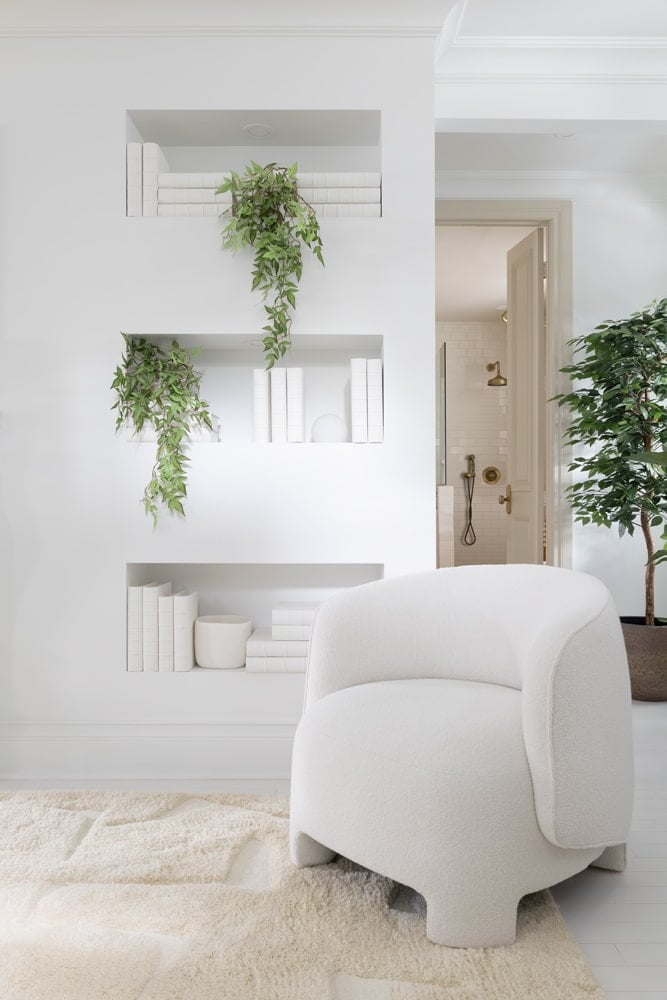 Plantes retombantes dans une bibliothèque - Décors Véronneau