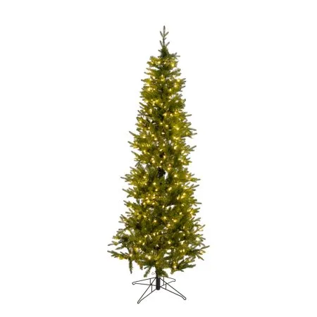 Sapin des alpes allongé pré-illuminé, 7,5-12'