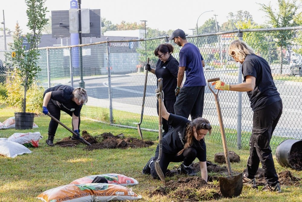 Plantation d'arbres - Décors Véronneau