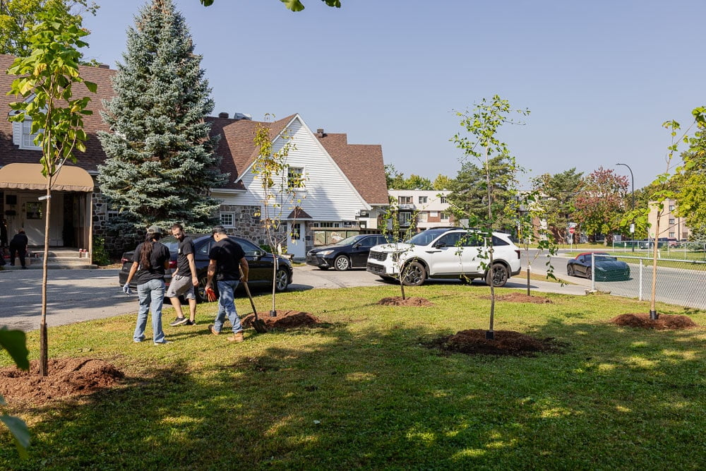 Centre de crise de l'ouest de l'île arbres - Décors Véronneau