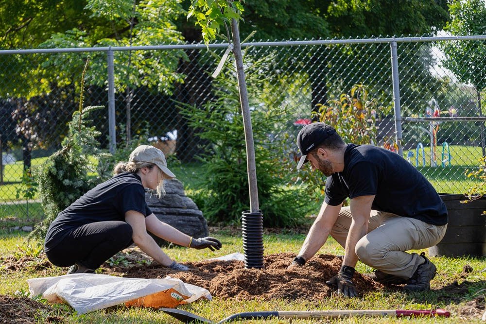 Deux personnes qui plantent un arbre pour Arbres Canada - Décors Véronneau