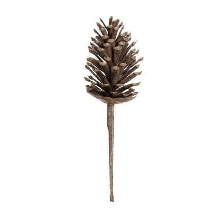 Brown pinecone stem, 13''