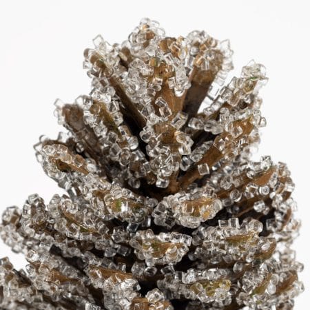 Frosted pinecone stem, 13'' - Décors Véronneau