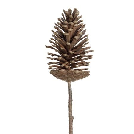 Brown pinecone branch, 28''