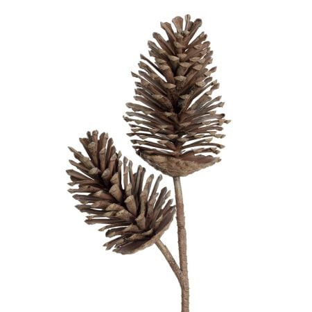 Brown pinecone double branch, 28''