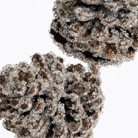 Frosted pinecone double branch, 28'' - Décors Véronneau