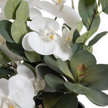 White flower arrangement with succulents - Décors Véronneau