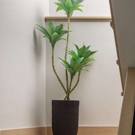 Agave artificiel à 4 têtes, 51'' - Décors Véronneau