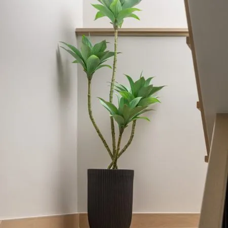 Artificial 4-trunk agave, 51'' - Décors Véronneau