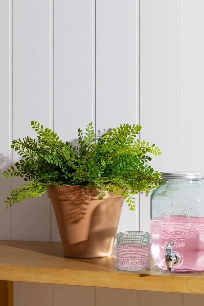 Fougère maidenhair - Décors Véronneau