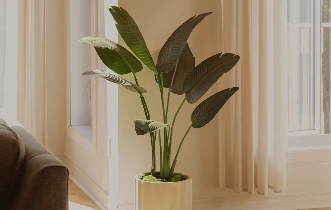 Oiseau du paradis artificiel - Décors Véronneau