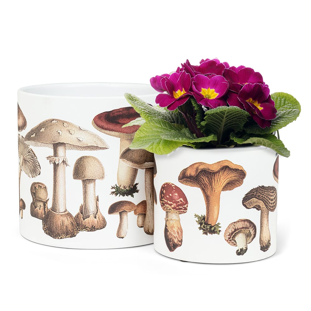 Petit pot décoratif à motif de champignons, 4,5'' – Image 5 - Décors Véronneau