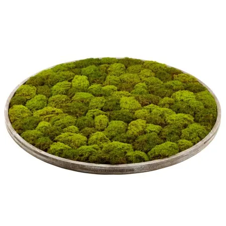 Artificial round textured moss plant wall, 48 x 48''